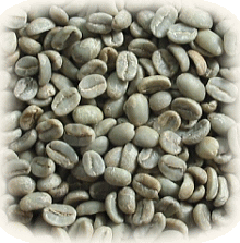 グリニッシュでフレッシュなコーヒー生豆